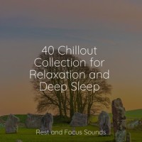 A Peaceful Place_Exam Study Classical Music Orchestra,Deep Sleep,Avslappning Sound