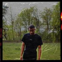 Free Free_Gil