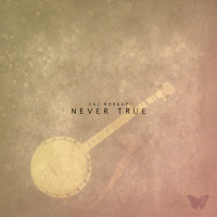 Never True_Caj Morgan,Caj Morgan Norlén