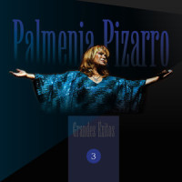 Propiedad Privada_Palmenia Pizarro,Modesto López