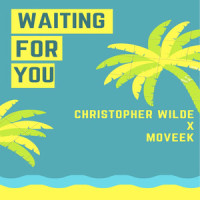 Waiting for You_Christopher Wilde,Moveek