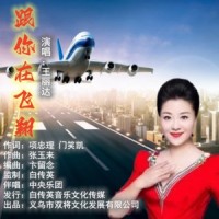 跟你在飞翔_王丽达
