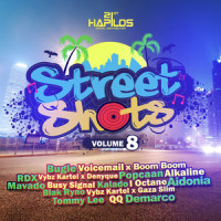 Vibes Inna Dis_Tommy Lee Sparta