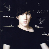 Wind in the Wires_Patrick Wolf