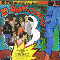 Goodbye My Love Goodbye_Ray Lynam,The Hillbillies