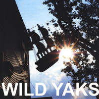 River May Come_Wild Yaks