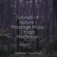 Twilight Mirage_Sleepy Times,Anxiety Relief,Deep Sleep Systems