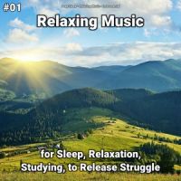 Great Relaxation Music_Relaxing Music,Instrumental,Deep Sleep