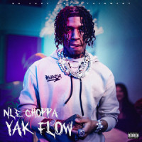 Yak Flow_NLE Choppa