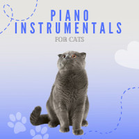 Soothing PIano_Piano Peace,Pet Music Therapy,Pets Love Music