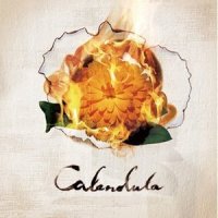 Calendula_a crowd of rebellion