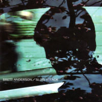 Forest Lullaby_Brett Anderson