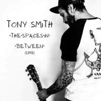 She's Overrated - Live_Tony Smith