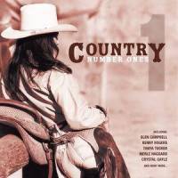 Okie From Muskogee_Merle Haggard,The Strangers