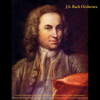 III. Allegro_Julius Frederick Rinaldi,J.S. Bach Orchestra