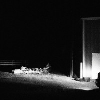 The Echo Of The World_Cloud Nothings
