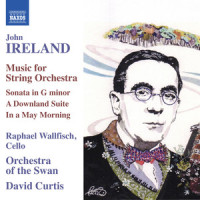 II. Poco largamente_Raphael Wallfisch,Orchestra of the Swan,David Curtis