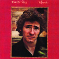 Because Of You_Tim Buckley