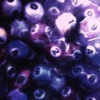 Lottery_Flipside