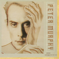 All Night Long_Peter Murphy