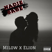 Nadie Sabe_Milow,Elion
