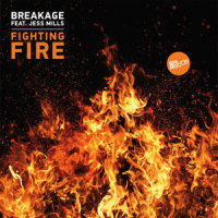 Fighting Fire_Jess Mills,Breakage