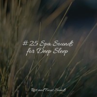 Meditation Music_Sleepy Times,Brain Study Music Guys,Tonal Meditation Collective