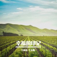 幸福的印记-王丽达 王志昕_王丽达