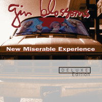 Soul Deep_Gin Blossoms