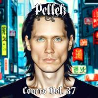 Star Marker_PelleK