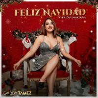 Feliz Navidad(Versión Norteña)_Gabby Tamez