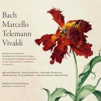 Trumpet concerto in D major, TWV 51:D7: Allegro_Chamber Orchestra of the Pedagogical University in Cracow,Georg Philipp Telemann