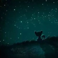 天上的星星不说话_CLLLOUD