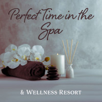 Healing Treatment_Relaxing Spa Music Zone,Meditation Spa,Wellness