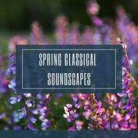 Concerto for King Ferdinand No 3 in G major (II. Andante)_Waltham Orchestra,Joseph Haydn
