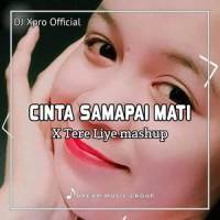 DJ Cinta Sampai Mati X Tere Liye Mashup_DJ Xpro Official,Raffa Affar