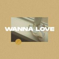 Wanna Love_Todd Carey