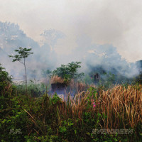 Evergreen_F.N.,Yifan Frank Wu