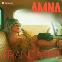 Trandafirii_Amna,Liviu Teodorescu,Ionut Vasilache,Marian Mihai