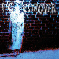 Who are You?_Pig Destroyer