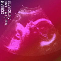 Anticipate_Skream,Sam Frank
