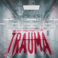 Trauma(feat. Splasha & M'skum)_Rack5,TY,Dodgy,M'skum,Splasha
