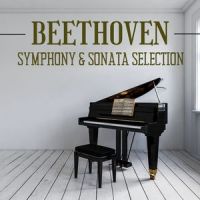 Sonata No. 22 in F major_Waltham Orchestra,Ludwig van Beethoven