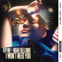 I Won’t Need You_Tep No,Noak Hellsing