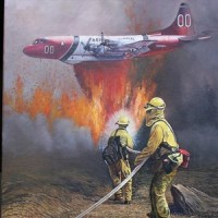 Cal Fire to the Rescue_Black Irish Band