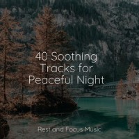Twilight from the Window_Deep Sleep Relaxation,Meditação Yoga,Spa