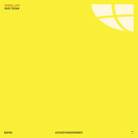 TESSELLATE_Baynk,Tei Shi