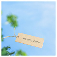 栞をはずして_the shes gone