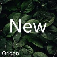 New_Origen,Pablo Vidal