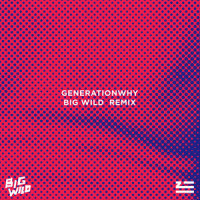 Generationwhy_ZHU,Big Wild